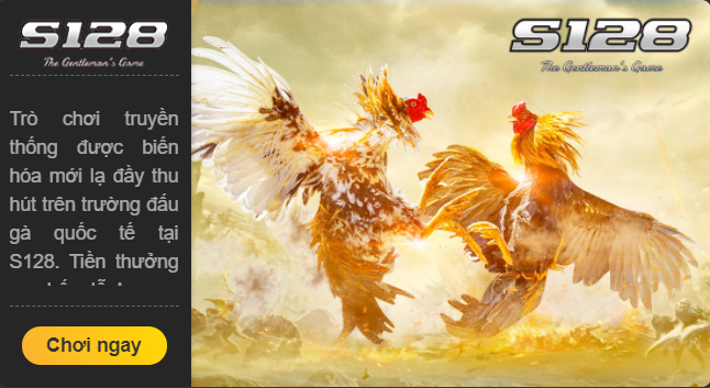 hướng dẫn cách đá gà s128 tại nhà cái 888b