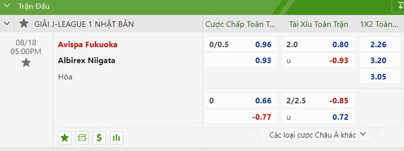 Avispa Fukuoka vs Albirex Niigata