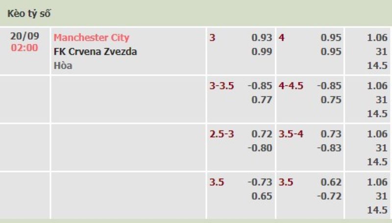 Man City vs Crvena Zvezda